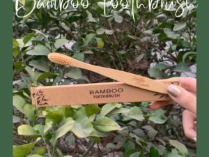 BambooTooth Brush